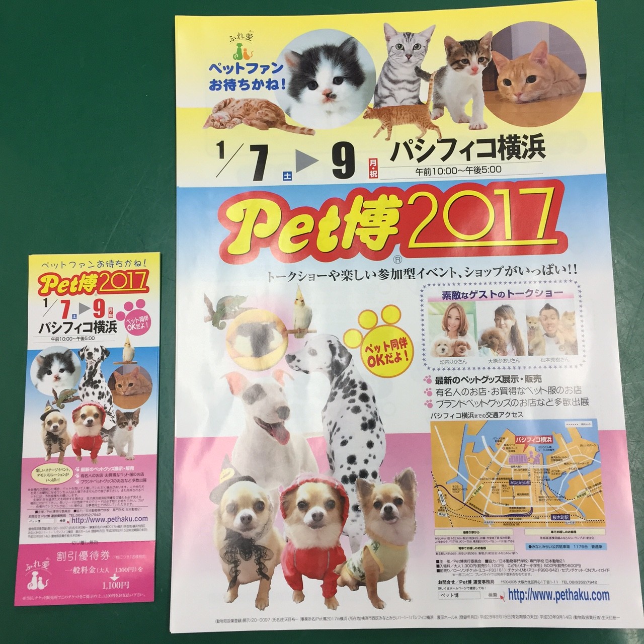 動物病院 鈴木ペットクリニック Blog Page 95