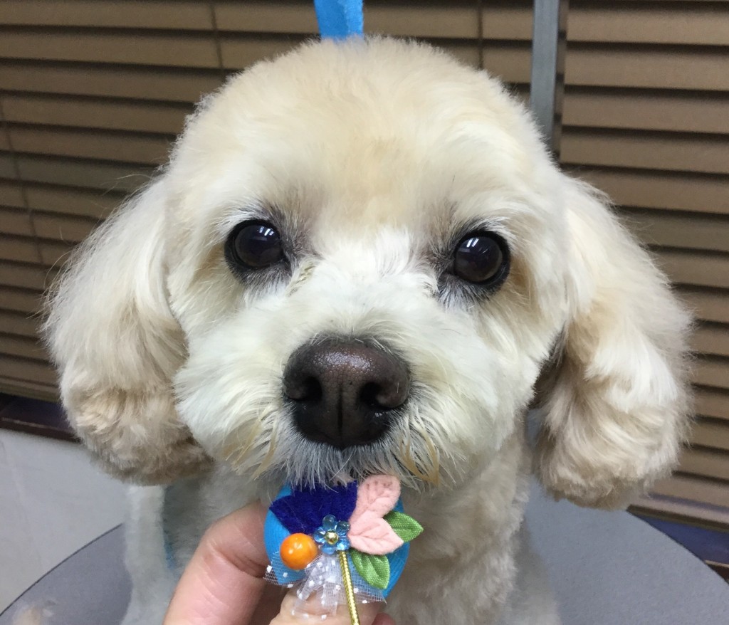 17E6F8C6-29FC-455B-BF12-DFA87F37E96D