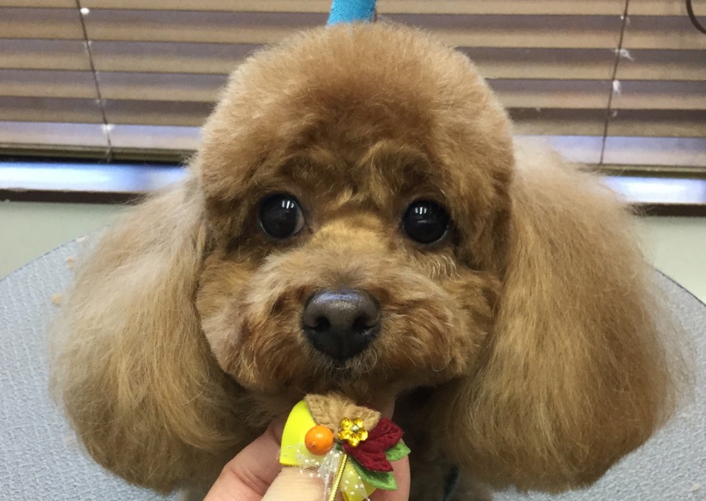 75AE8111-D85F-44DD-BF42-21C60898075B