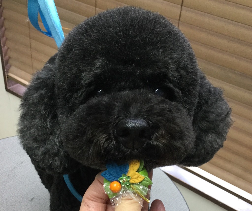 775BFFC3-FAA6-4584-9DE9-C1453A5032D3