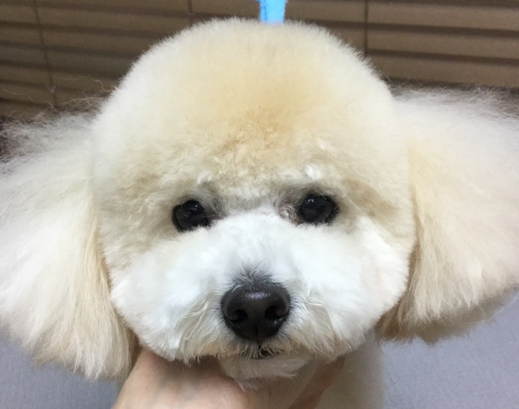 872832E7-CFC5-4EB6-B2BF-B63D8D7AA429