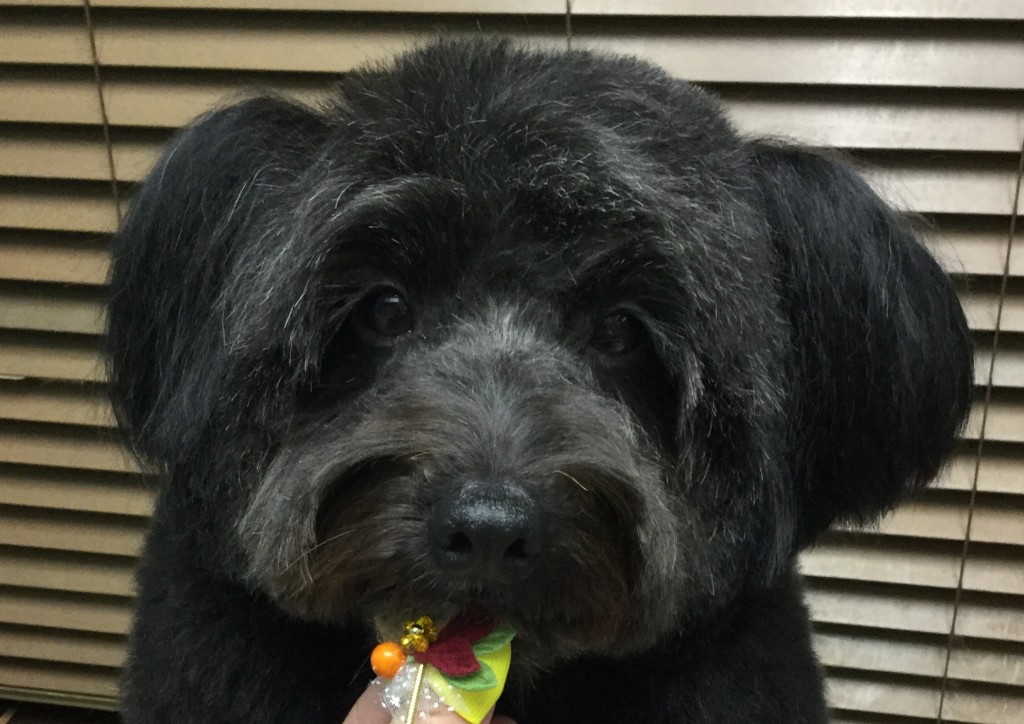 9EFA2F51-B86B-440D-9F85-9C74DBD26238