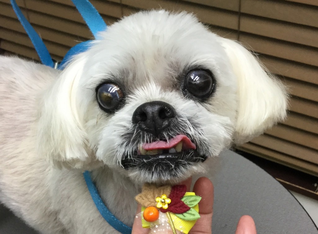 D9BF8580-7087-4B8F-876C-477BD0D798C5