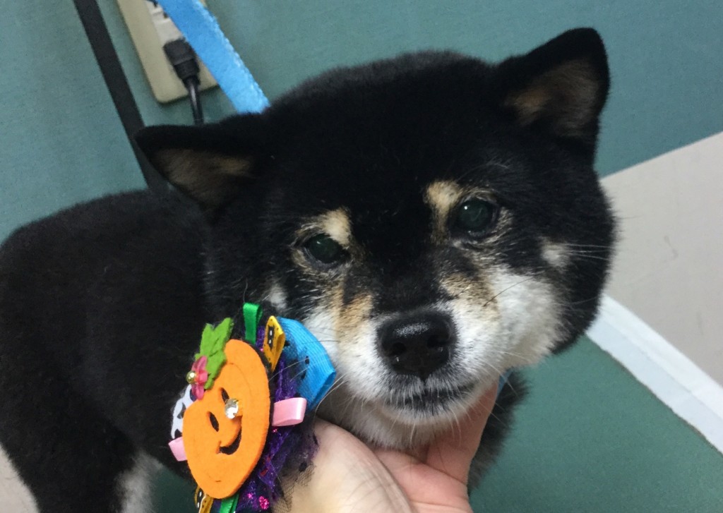 0880CA57-244D-4B55-89D4-C912AB62C040