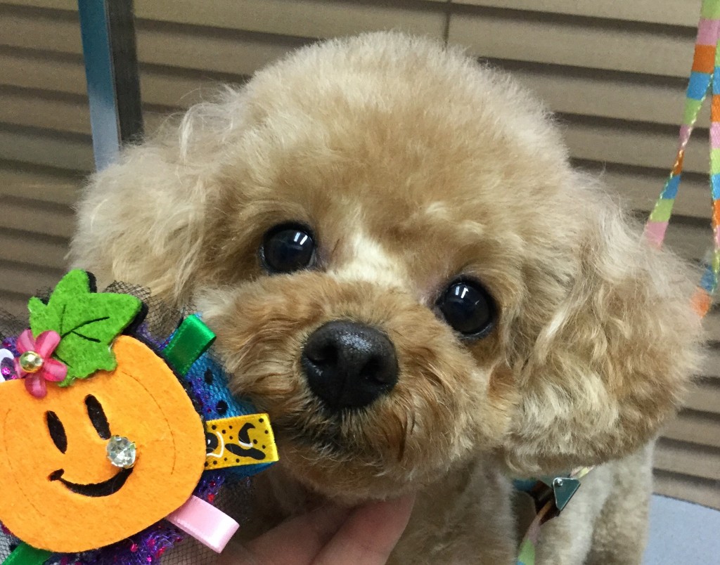 0E37A32F-02F8-4C71-8699-5028F3E2341D