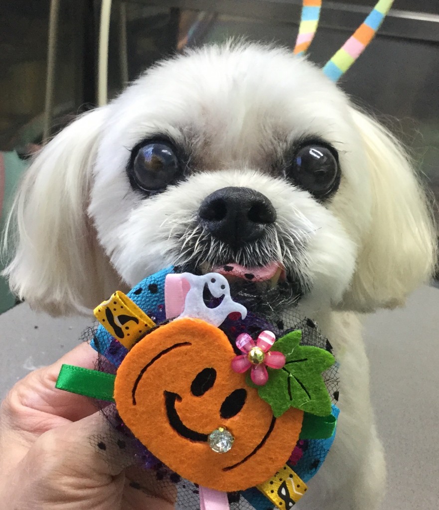 367AEF88-492F-4499-92EC-0EFC244A0571