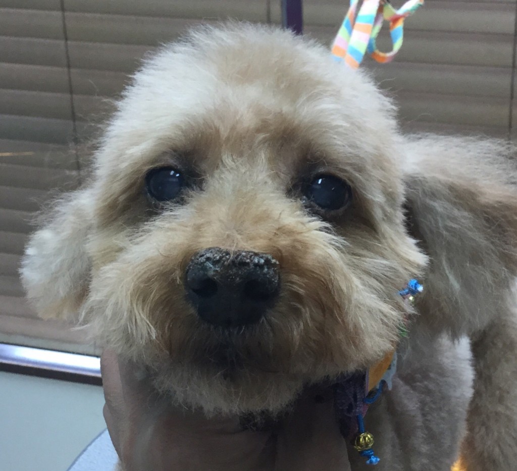 5DD2B10F-177C-4621-B412-1380ABDB875E