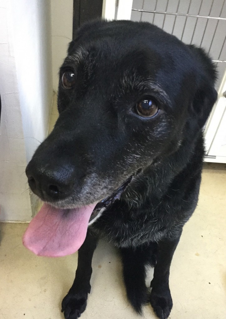 68F113BD-80FB-46CF-A086-29CB1E3F084A