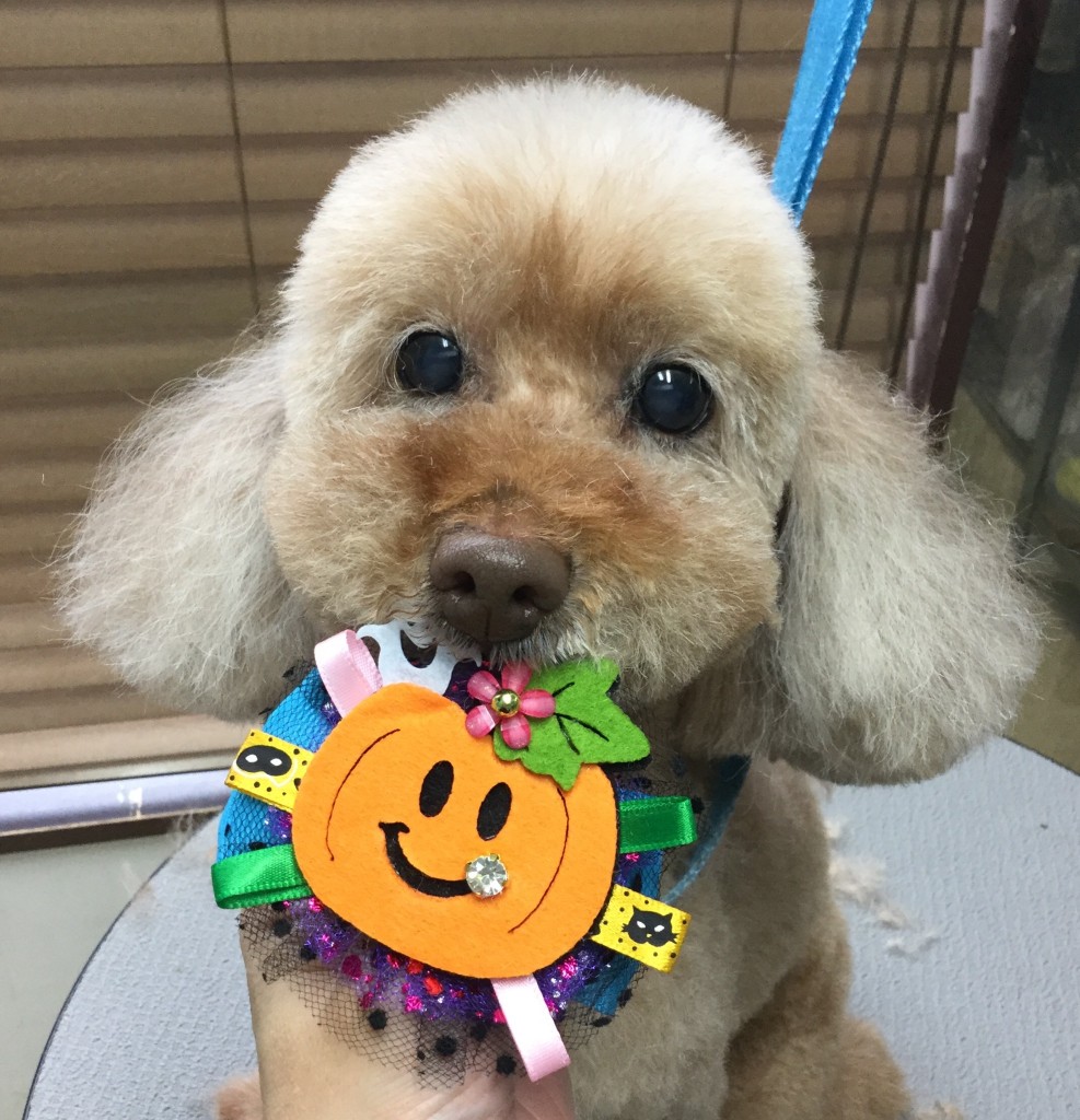 6C77174C-B770-477D-B4BF-786BC920F561