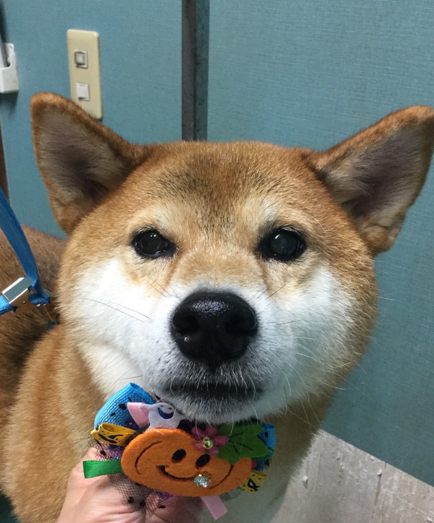 80FF50D5-237A-44F0-9001-5130470CFC89