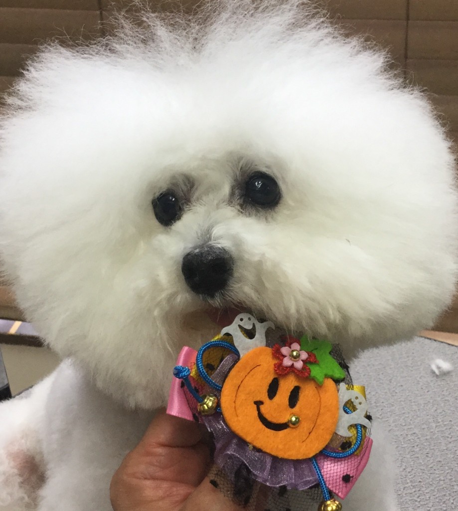 86DCEB93-E775-40A9-8A5F-392603FC571F