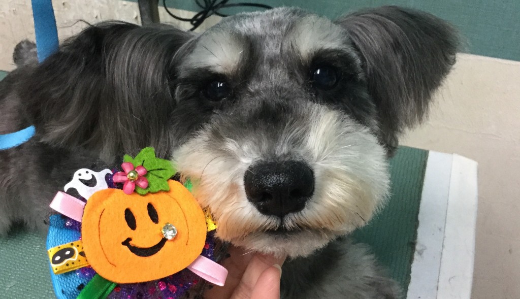 8EB40EFA-CD4A-4344-BD65-D6FD6AE0D634