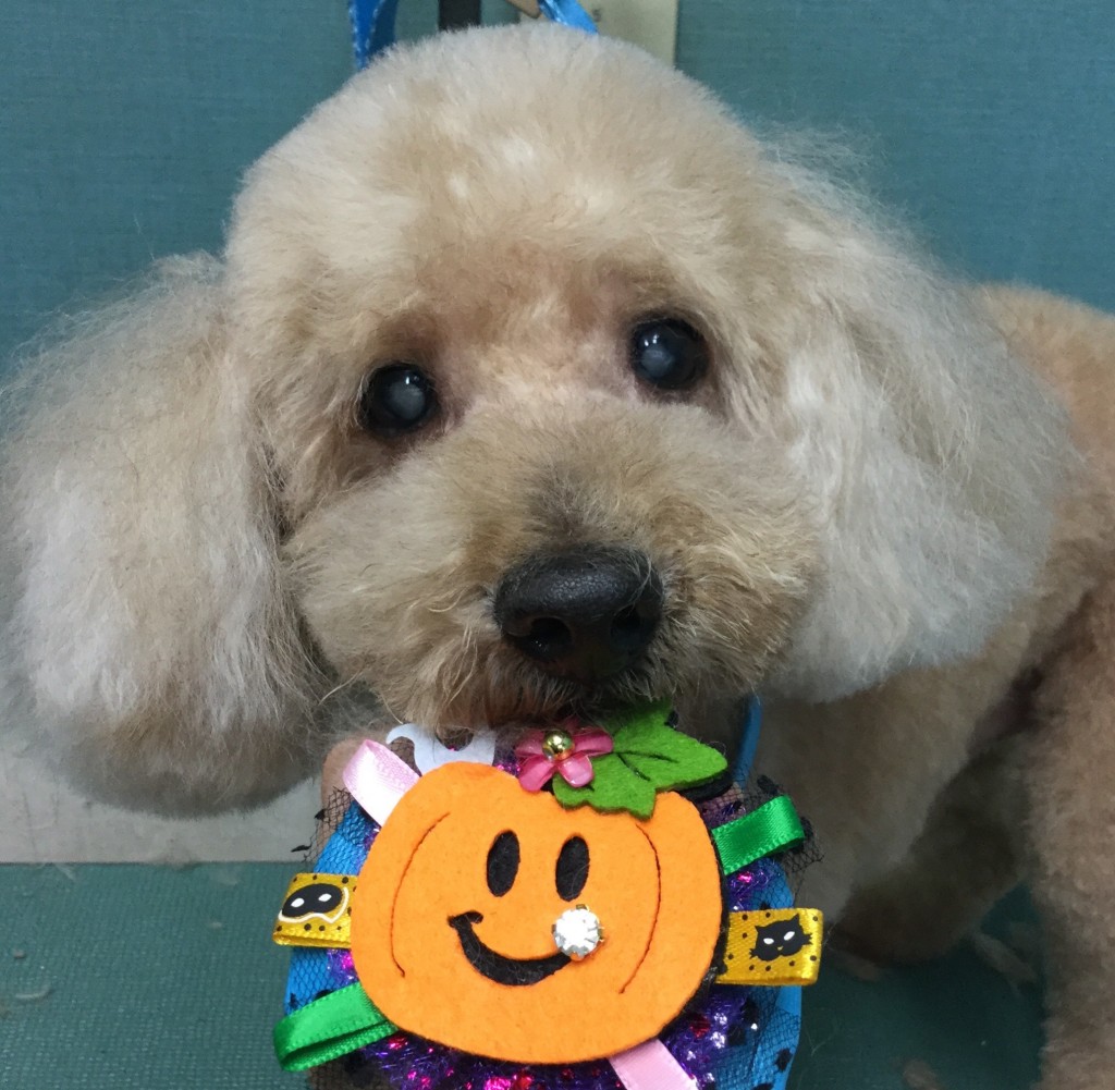 9298E66B-5165-45E2-8360-1250BA89D1F6