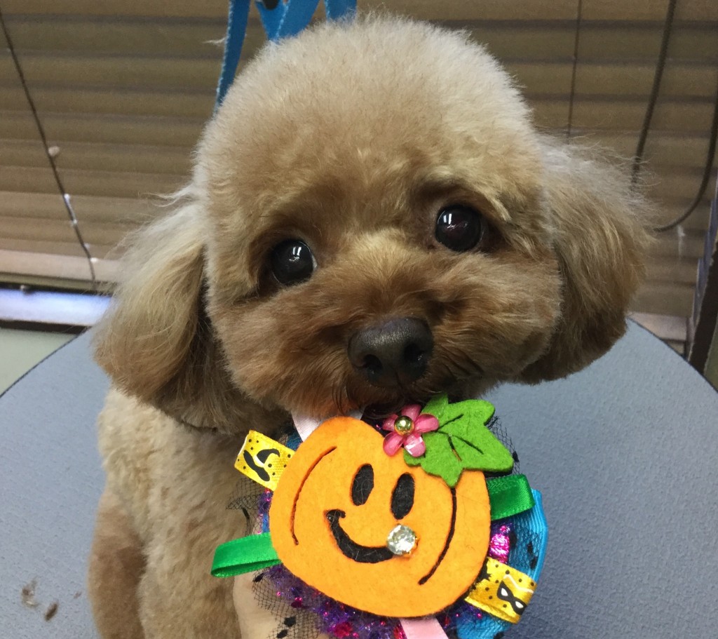 A391CA14-9670-46DD-ACD4-DCCC4FCA4E12