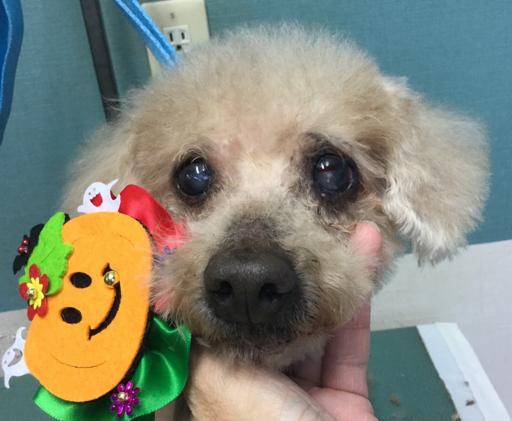 D3A59DA2-9F2E-44E8-AE95-EF3DF406F8BA