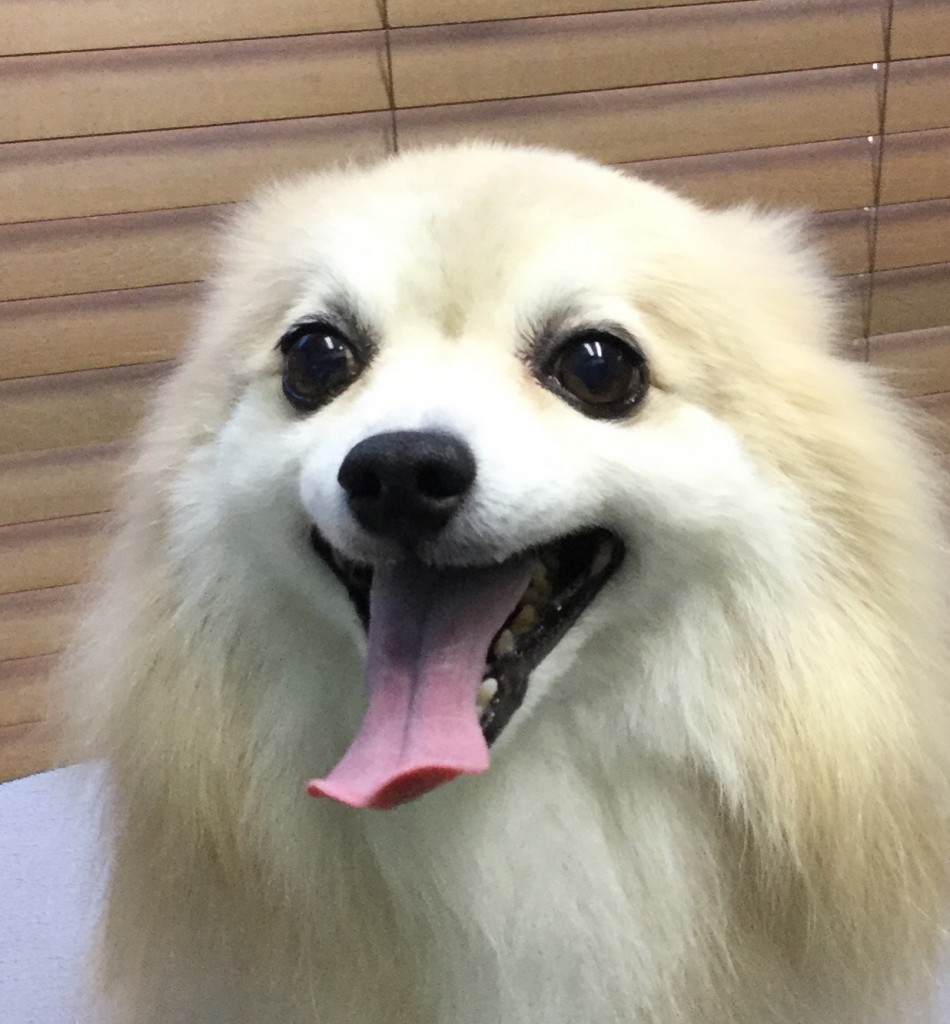 05355121-7DFC-4CE0-89CF-C498AD5BE9EC