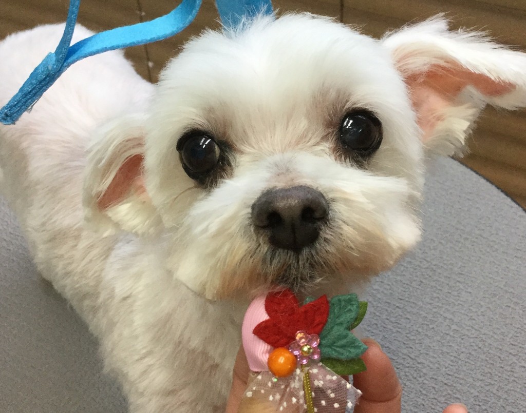 092CB4BB-10A7-49B1-B378-AB6383E544DB