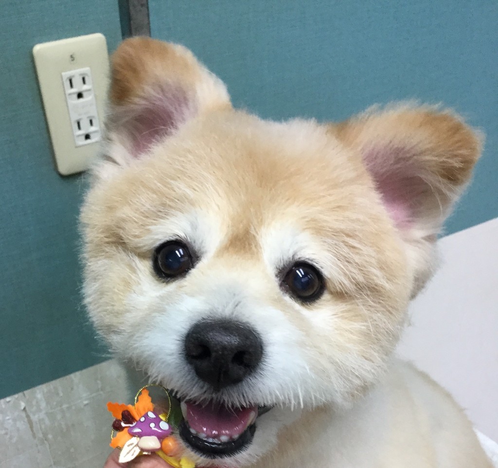 0FD2559E-5CAB-4B91-AB9C-92E1FDFA162A