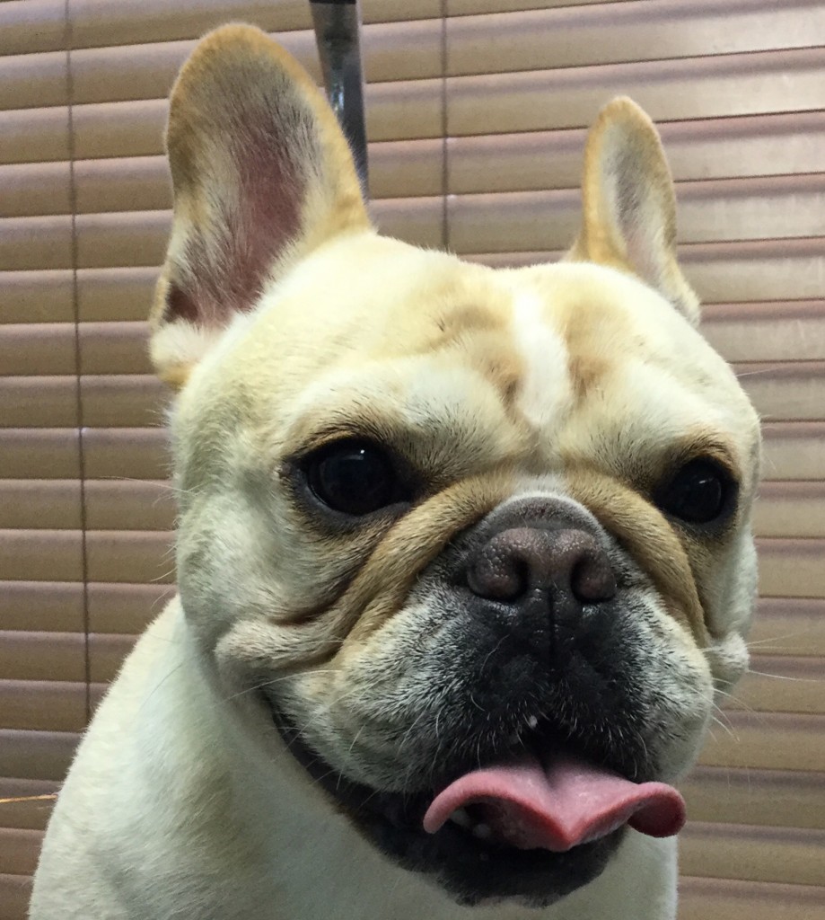 18AA1BA3-1D7D-4BE8-B29F-F738A2D9B72C