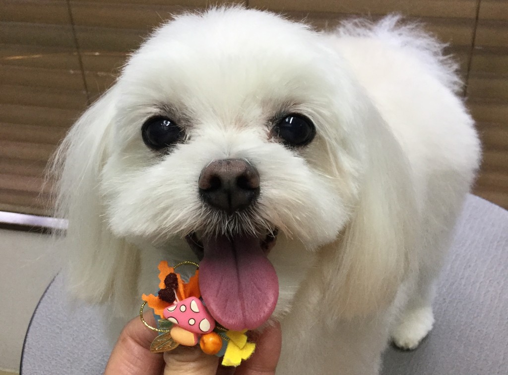 195205E7-5173-40A4-A391-F8F2AE65D64E