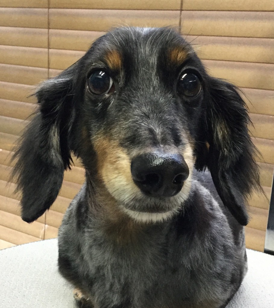 197CC341-D6AB-4F96-974A-ECCEE3CF20CB