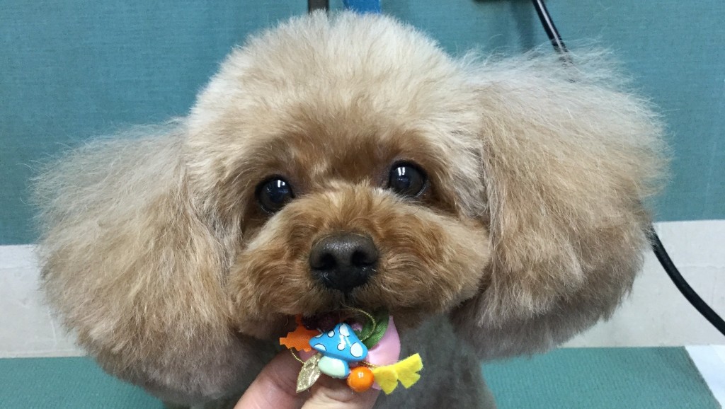 1AD91C34-D65A-4B14-84D7-1DA566C85794