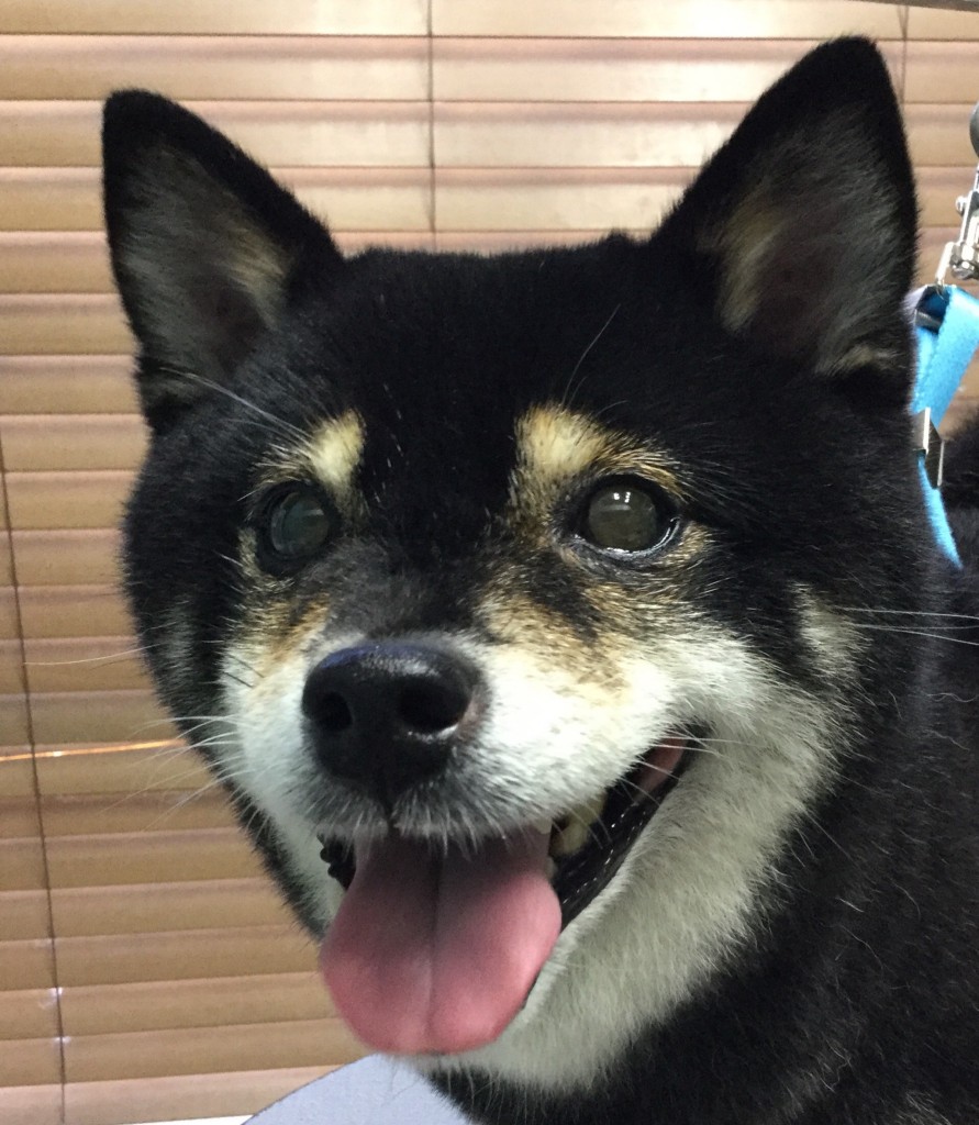 1C5C0B36-5250-4C43-9A14-1D8F59B46FB7