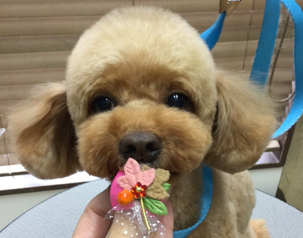 1FC6199D-349E-4258-B25D-DD81C352AE1C