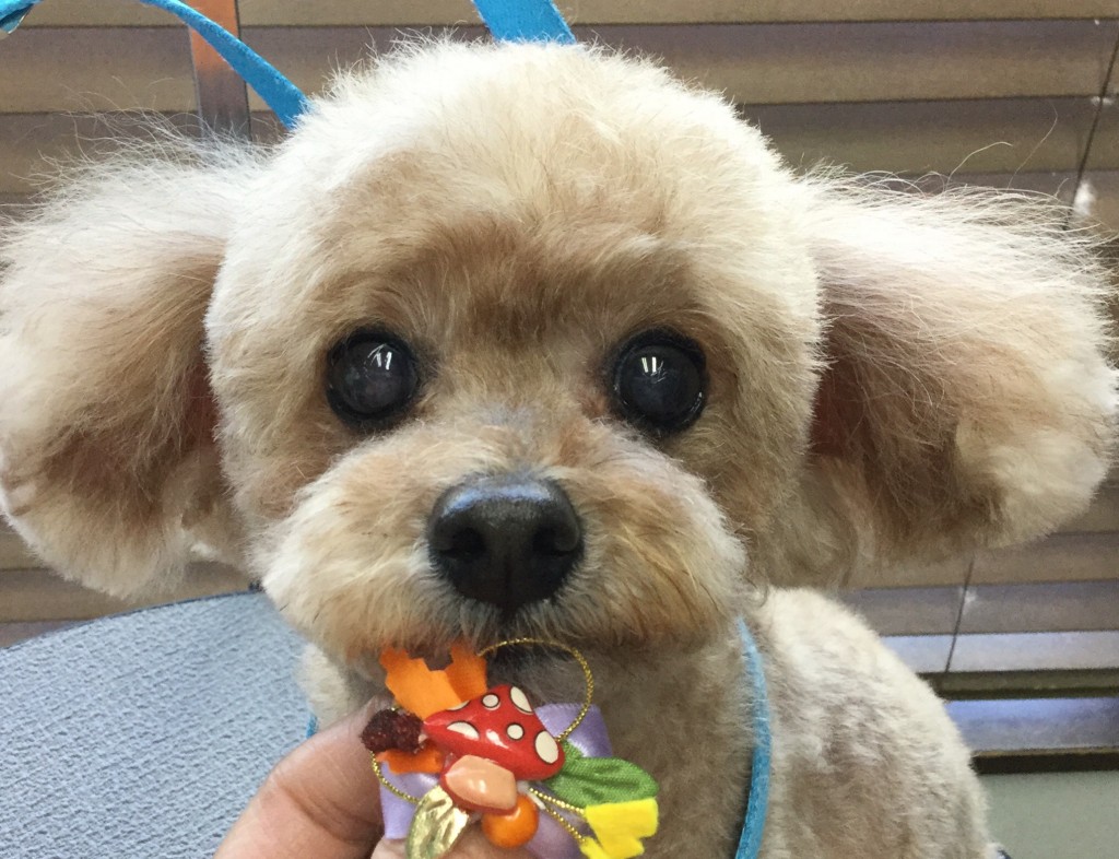 20B3A91C-F109-4F5E-89DB-807D90E363C3