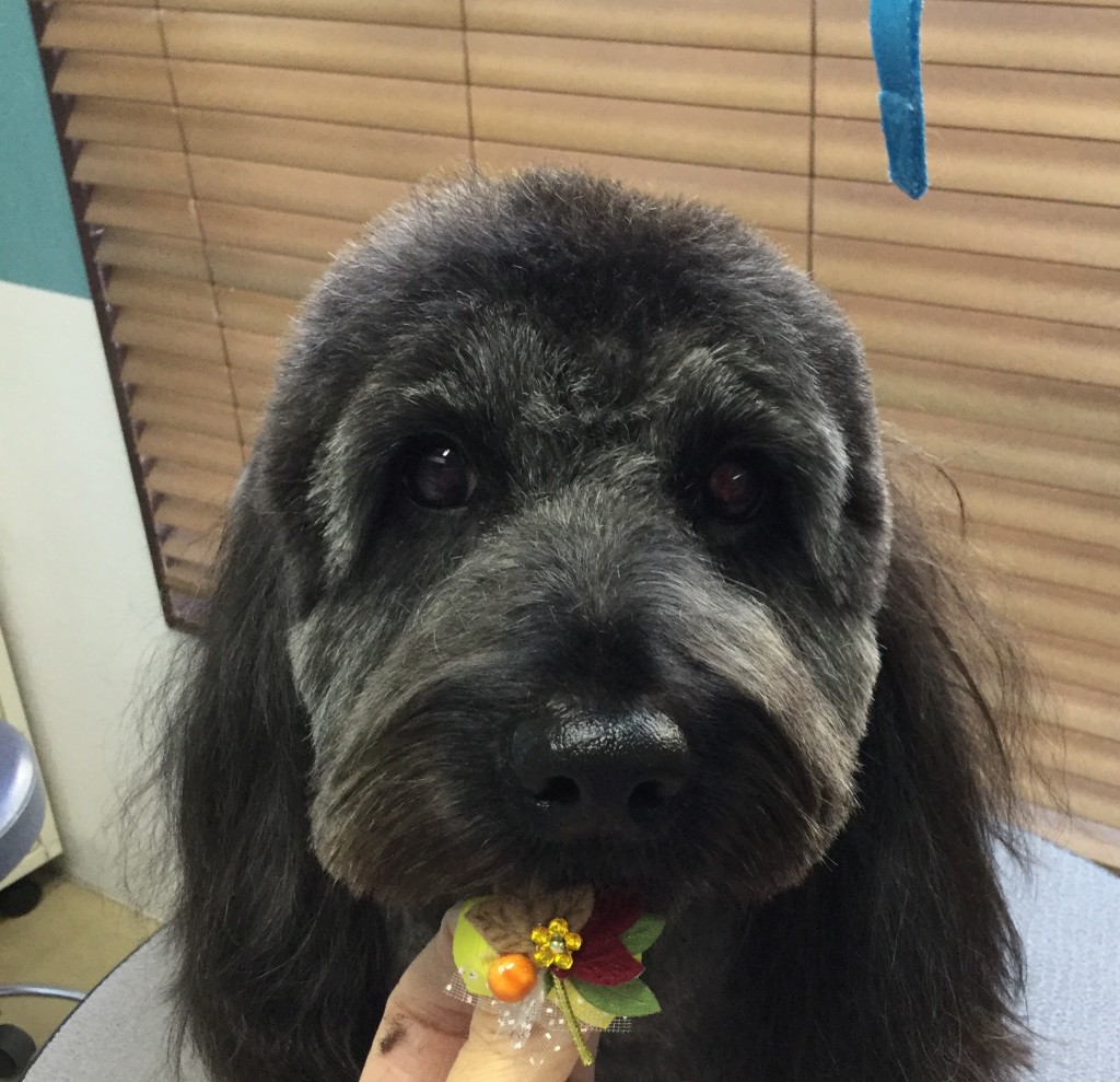 221D4E28-6C88-489D-B249-EE682CE0E711