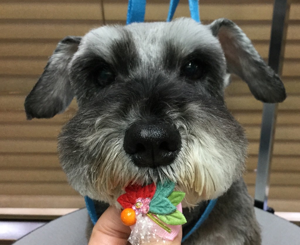 2296EFC6-6E5A-4D1C-B40D-8031290760E7