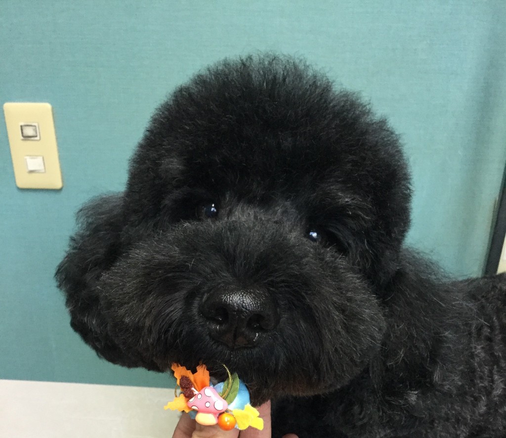 27EFF26B-C47E-4064-B0A0-0B9DD256BF82