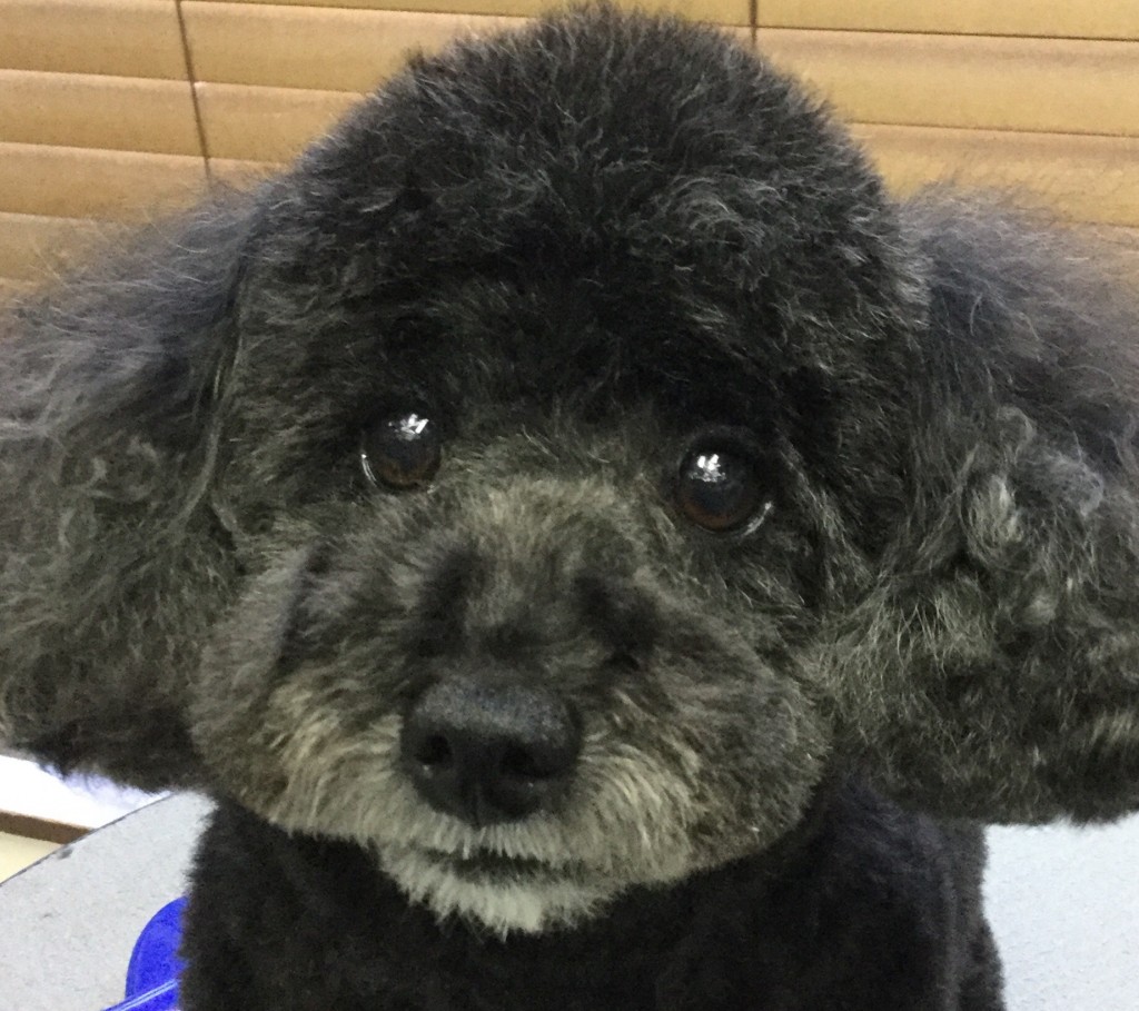 2DDA4A39-8867-495A-AE01-F4D2081A603A