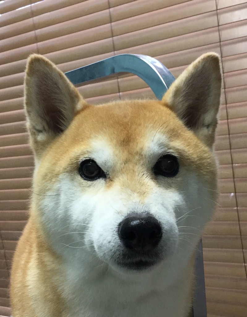 350BDBA3-BAF8-40A5-AC32-35EDBF35DCF9