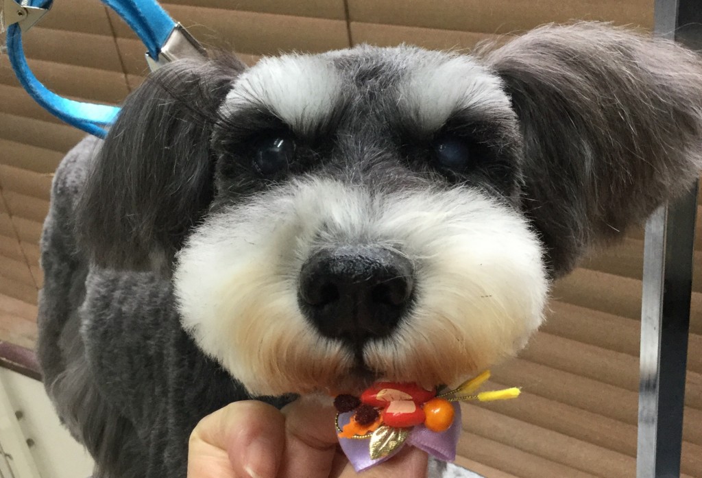 3B016885-A86A-4677-AE80-5EF5AB38DB2D