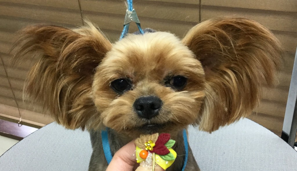 3BD7E717-1C2B-4520-9B1D-93EF584B397D