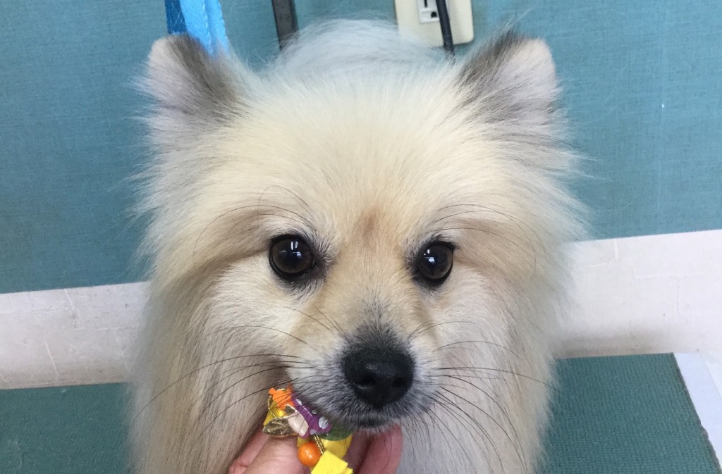 493704C6-0733-4576-BF5D-6CFB82B1B08C