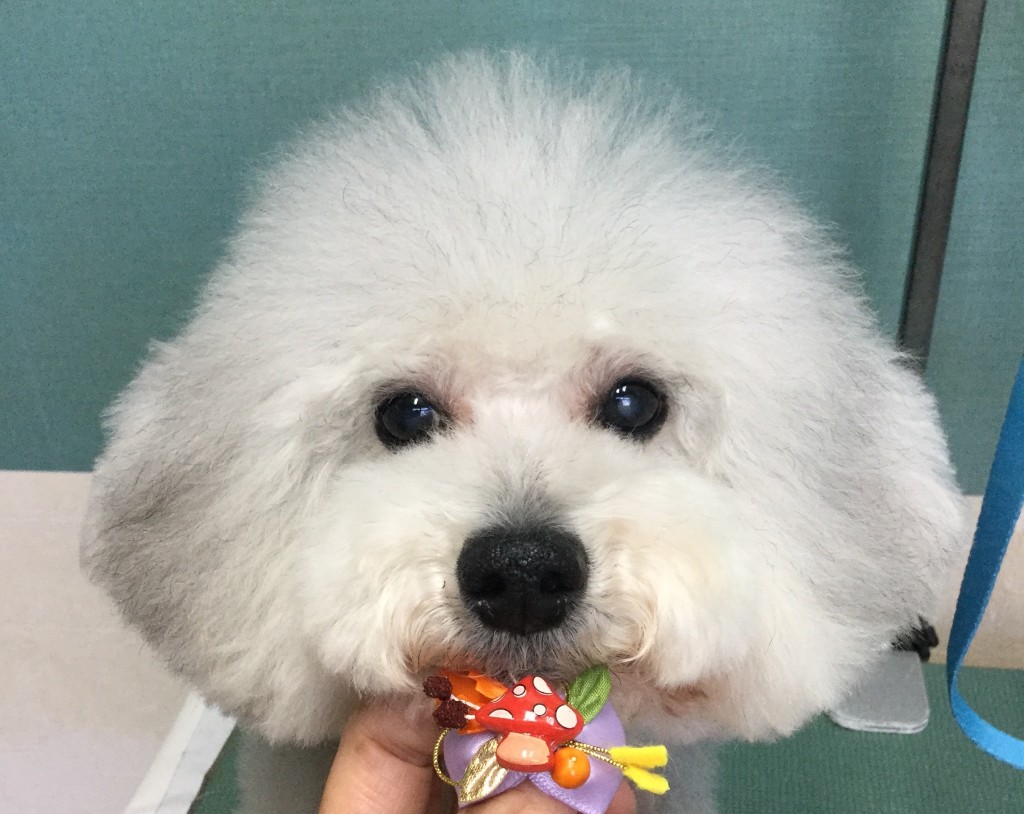 4A985A7F-3975-4097-A89B-A889802C71C8