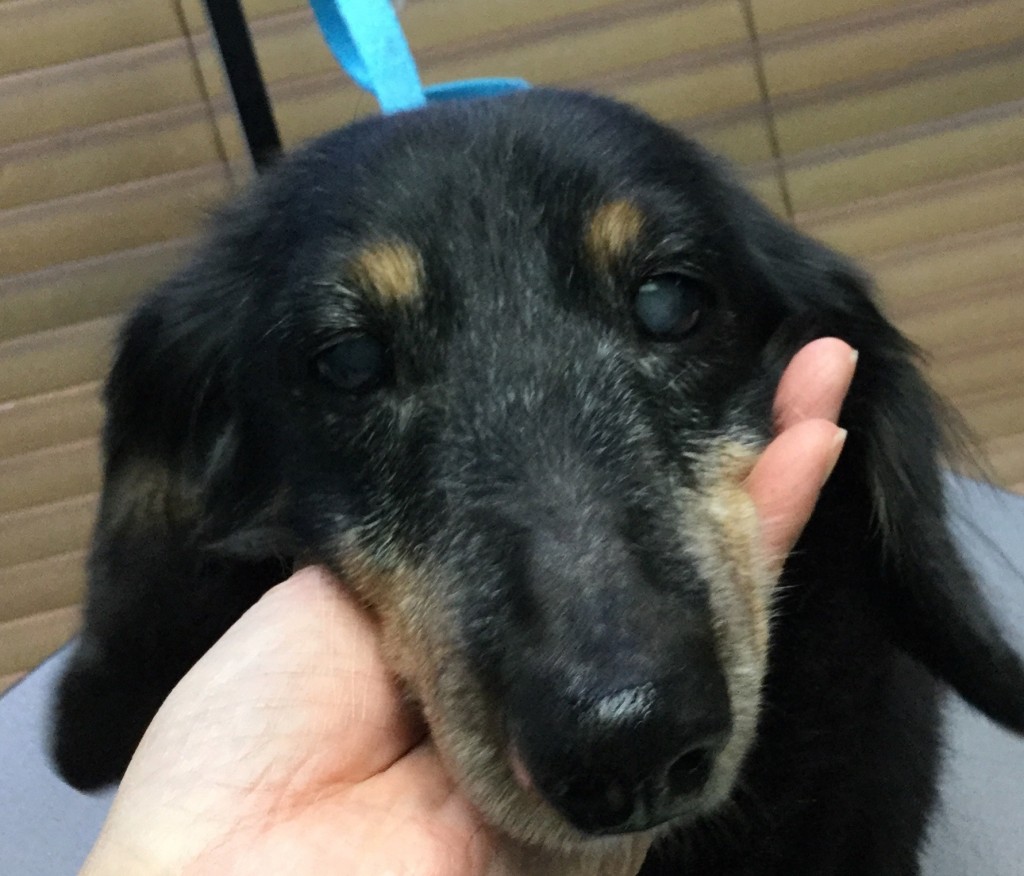 4AE67108-E816-4D7C-A7DB-55300C357540