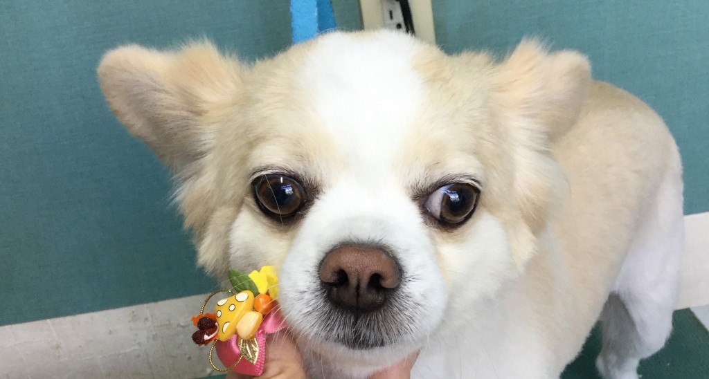 4DD0F349-015D-45B6-AEB4-8730FF1DED36