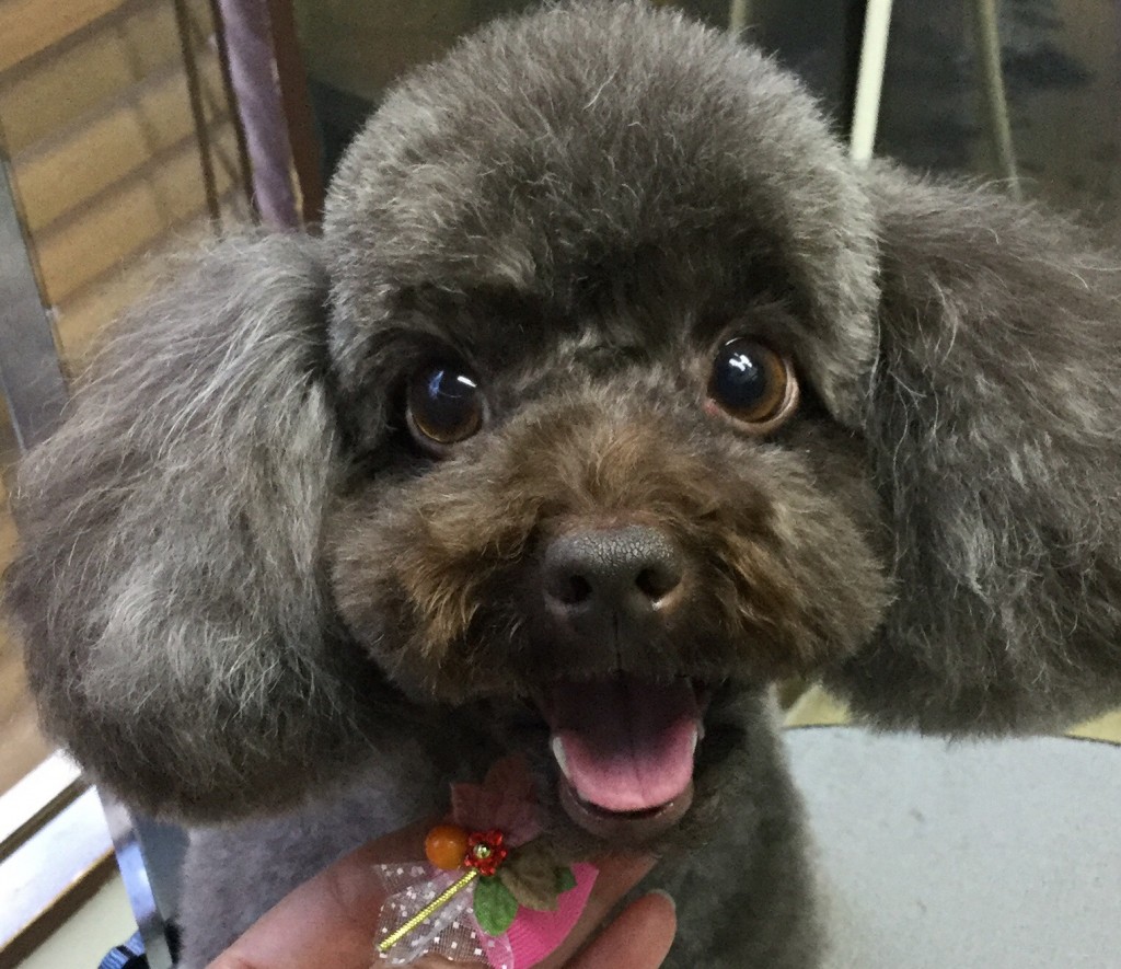 4E34FA4E-696A-478F-AE72-B0B3BA2546E3