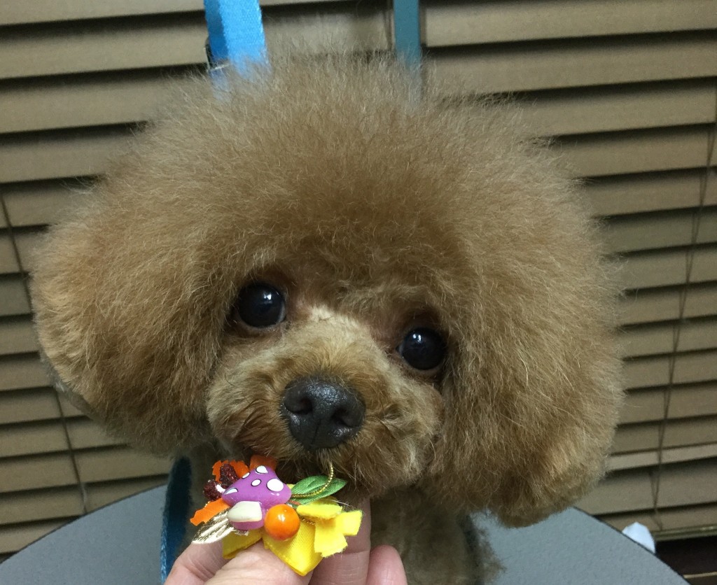 585DF656-F8E7-4263-B4A1-5AFB71BA7DDA