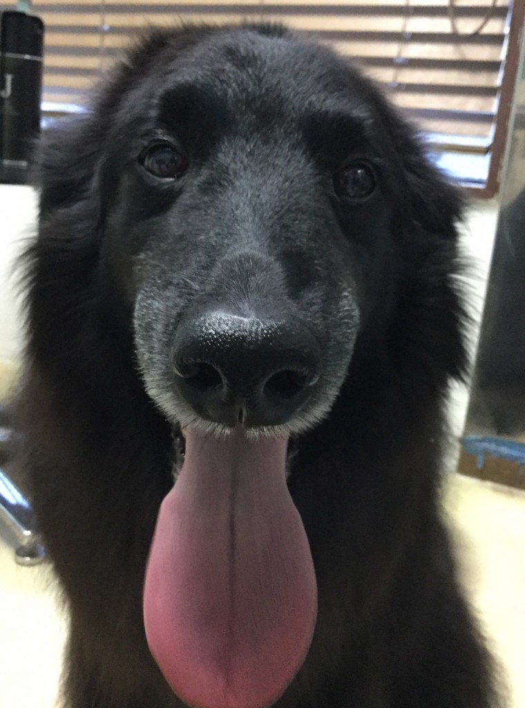 59EC75DF-0543-42D2-91A1-567BBF3D2DE1