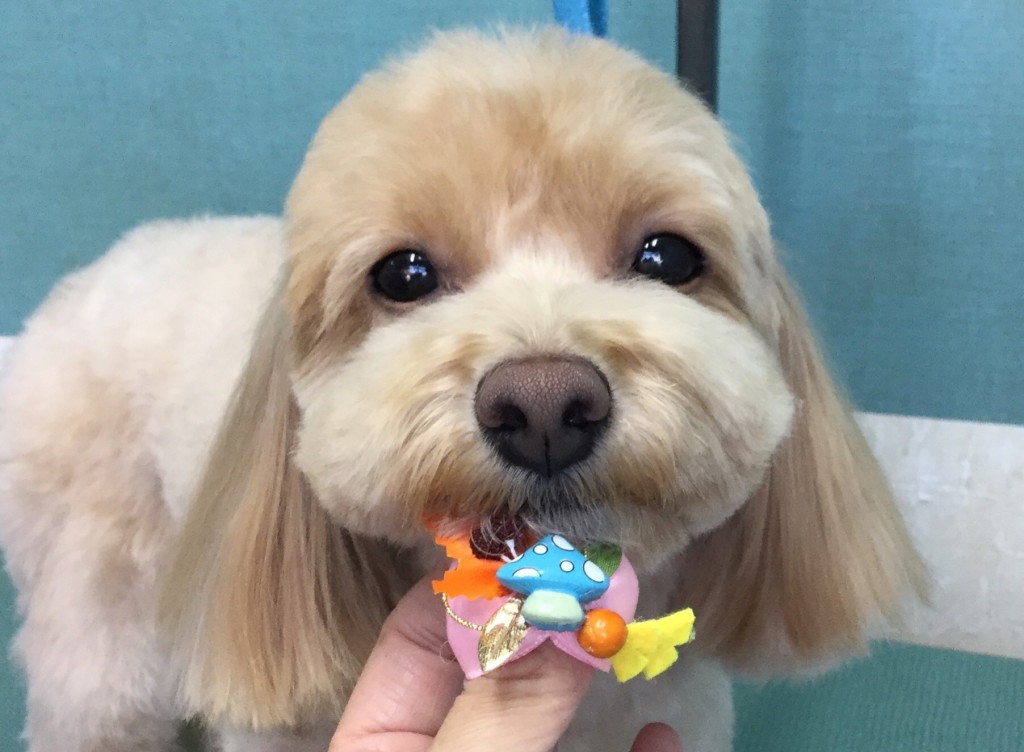 5D311F31-7720-47F3-AD8A-EBF3FB5F4F4A