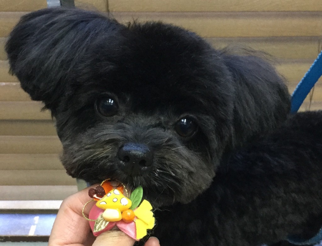 5D479DE8-3998-4F4B-BE34-E474C81088DE