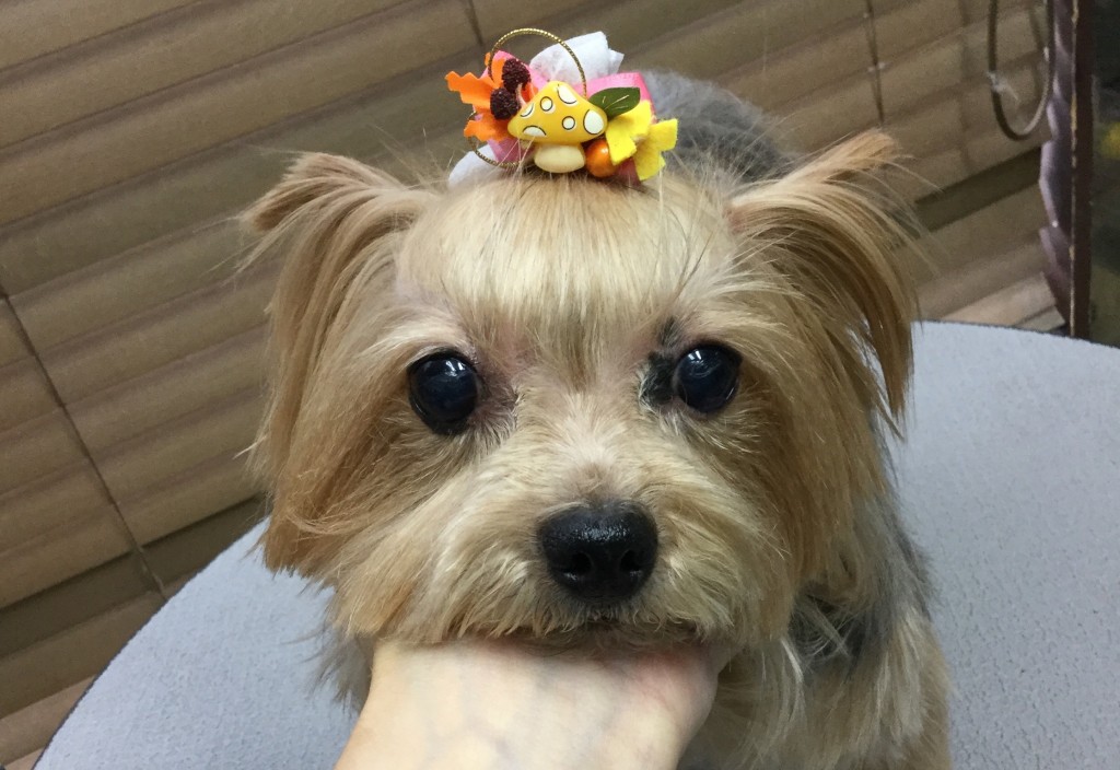 67753583-0E13-4FEA-BCA5-F608F3CEB94B