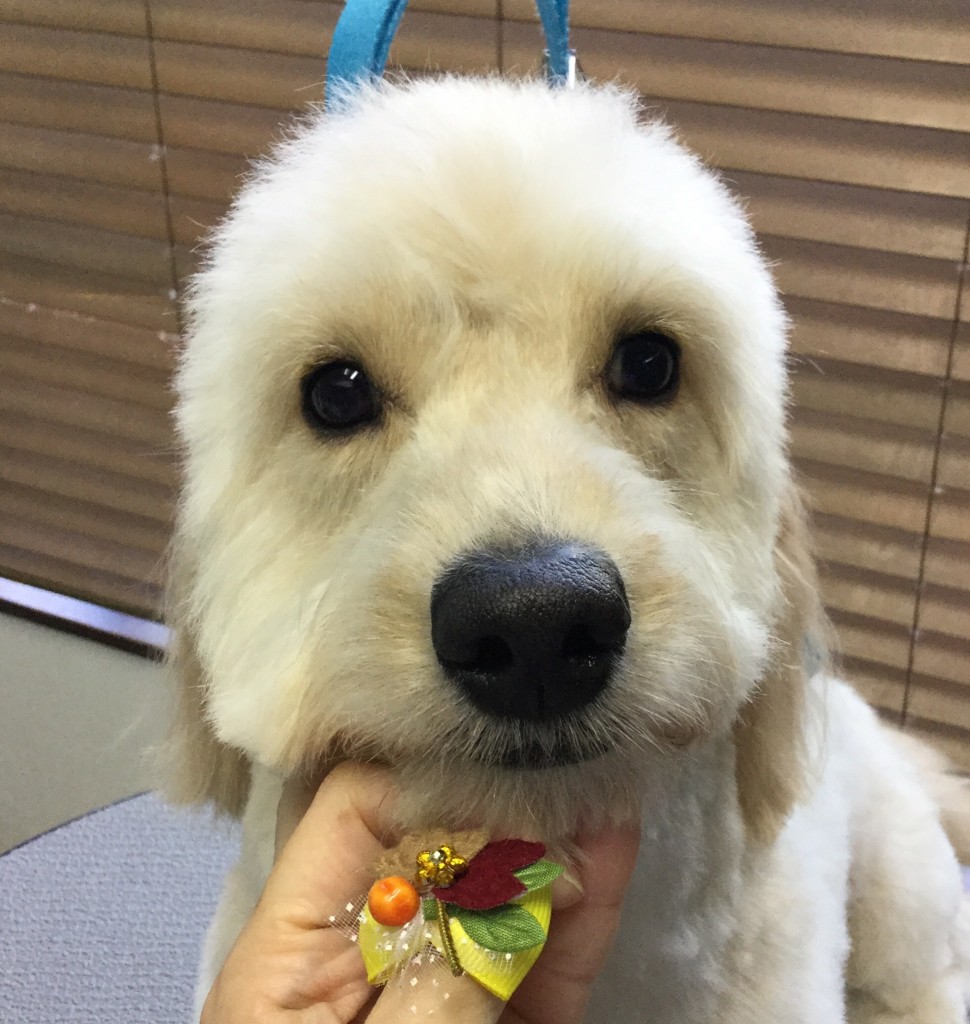 6A89B88C-B82A-47E2-8C33-0E21FB2E001A