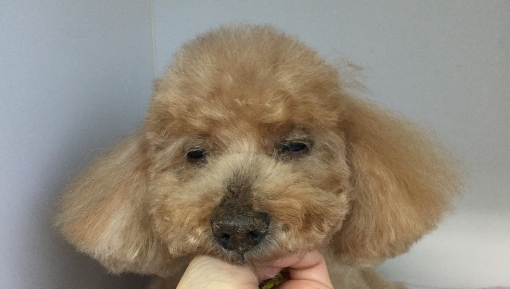 738CAE17-77A3-4D8B-9BFC-A99BD80CCFC3