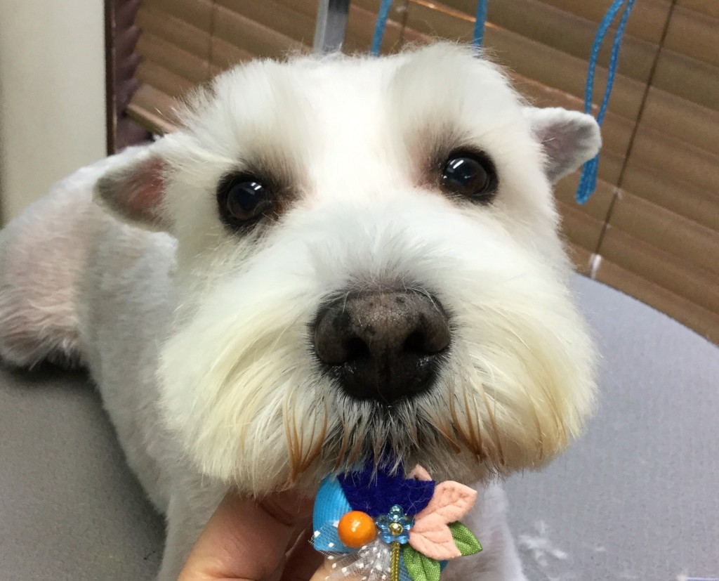 741B4FE1-047A-495B-8554-EDA18D8275EB