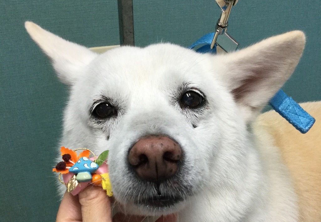 76852043-5CE4-4E82-8057-6202CDE5257E